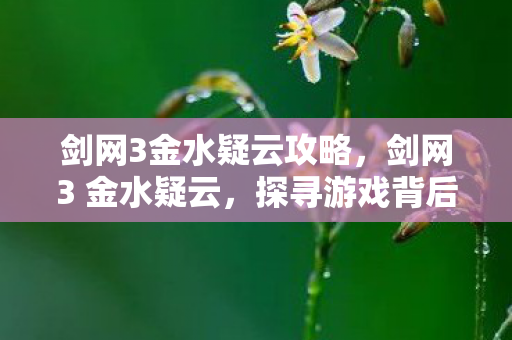 剑网3金水疑云攻略，剑网3 金水疑云，探寻游戏背后的故事与谜团