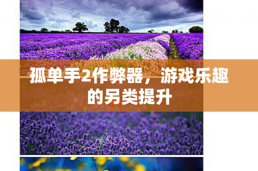 孤单手2作弊器,游戏乐趣的另类提升 孤单手2作弊器,游戏乐趣的另类提升