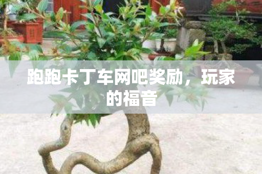 跑跑卡丁车网吧奖励,玩家的福音 跑跑卡丁车网吧奖励,玩家的福音
