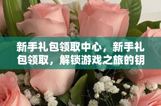新手礼包领取中心，新手礼包领取，解锁游戏之旅的钥匙