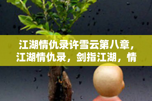 江湖情仇录许雪云第八章,江湖情仇录,剑指江湖,情深义重 江湖情仇录许雪云第八章,江湖情仇录,剑指江湖,情深义重