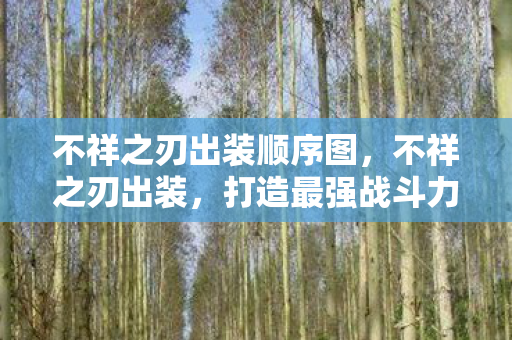 不祥之刃出装顺序图，不祥之刃出装，打造最强战斗力的关键