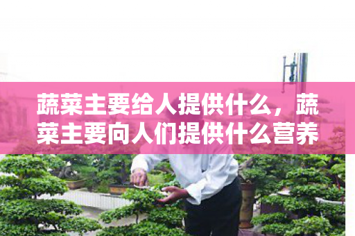 蔬菜主要给人提供什么,蔬菜主要向人们提供什么营养 蔬菜主要给人提供什么,蔬菜主要向人们提供什么营养