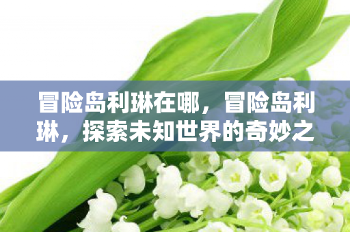 冒险岛利琳在哪,冒险岛利琳,探索未知世界的奇妙之旅 冒险岛利琳在哪,冒险岛利琳,探索未知世界的奇妙之旅
