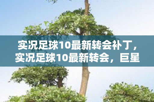 实况足球10最新转会补丁,实况足球10最新转会,巨星云集,转会市场风起云涌 实况足球10最新转会补丁,实况足球10最新转会,巨星云集,转会市场风起云涌