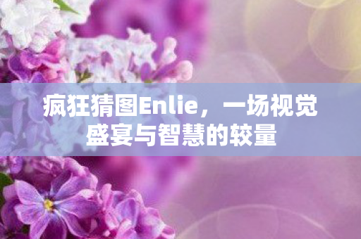 疯狂猜图Enlie，一场视觉盛宴与智慧的较量