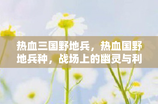 战场上的幽灵与利刃图片