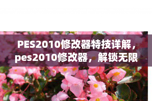 PES2010修改器特技详解,pes2010修改器,解锁无限可能的足球模拟新体验 PES2010修改器特技详解,pes2010修改器,解锁无限可能的足球模拟新体验