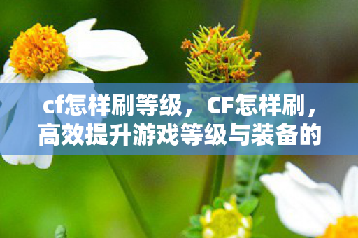 cf怎样刷等级,CF怎样刷,高效提升游戏等级与装备的技巧 cf怎样刷等级,CF怎样刷,高效提升游戏等级与装备的技巧