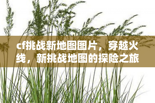 新挑战地图的探险之旅图片
