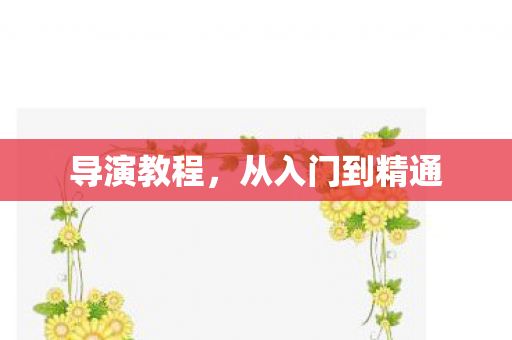 导演教程,从入门到精通 导演教程,从入门到精通