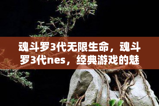 经典游戏的魅力与回忆图片