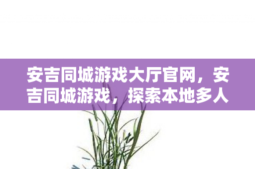 探索本地多人游戏的乐趣与魅力图片