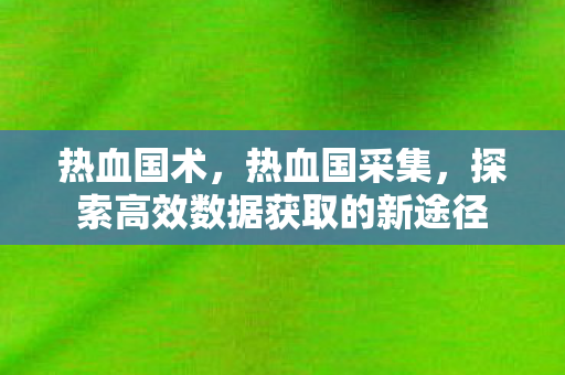 热血国术,热血国采集,探索高效数据获取的新途径 热血国术,热血国采集,探索高效数据获取的新途径