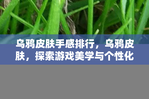 乌鸦皮肤手感排行,乌鸦皮肤,探索游戏美学与个性化表达的边界 乌鸦皮肤手感排行,乌鸦皮肤,探索游戏美学与个性化表达的边界