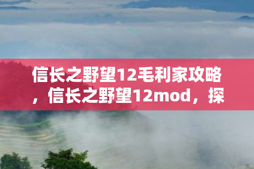 探索日本战国时代的策略深度图片