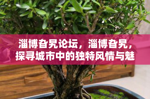 探寻城市中的独特风情与魅力图片