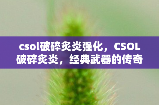 csol破碎炙炎强化图片