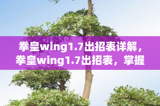 拳皇wing1.7出招表详解,拳皇wing1.7出招表,掌握格斗精髓,释放终极技能 拳皇wing1.7出招表详解,拳皇wing1.7出招表,掌握格斗精髓,释放终极技能