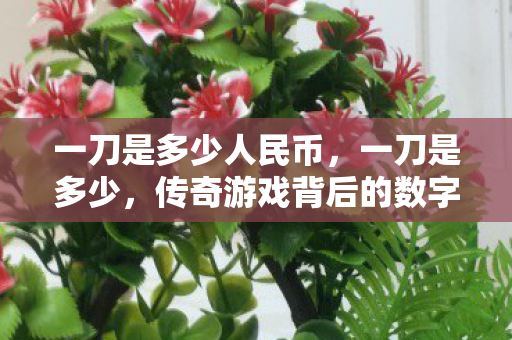 一刀是多少人民币,一刀是多少,传奇游戏背后的数字与故事 一刀是多少人民币,一刀是多少,传奇游戏背后的数字与故事