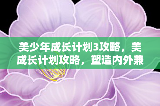 塑造内外兼修的美学之旅图片