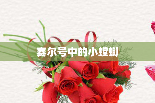 赛尔号中的小螳螂 赛尔号中的小螳螂