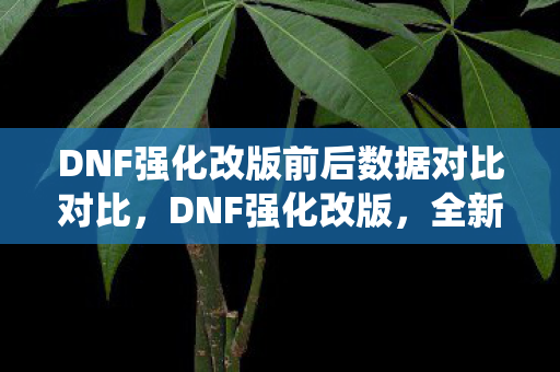 DNF强化改版前后数据对比对比图片