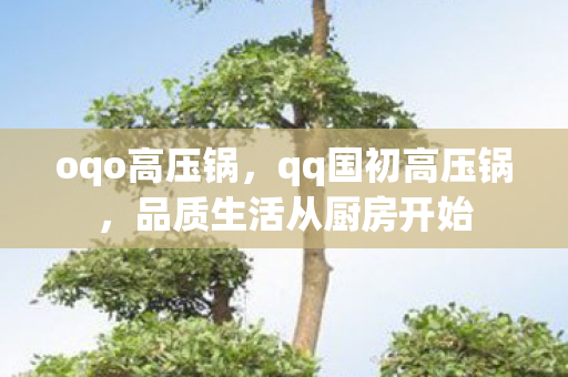 oqo高压锅,qq国初高压锅,品质生活从厨房开始 oqo高压锅,qq国初高压锅,品质生活从厨房开始