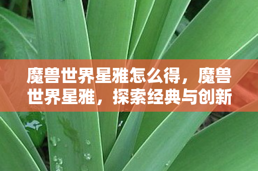 探索经典与创新的交汇点图片