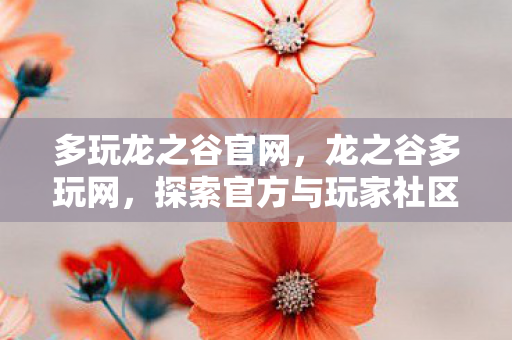 多玩龙之谷官网,龙之谷多玩网,探索官方与玩家社区的互动新篇章 多玩龙之谷官网,龙之谷多玩网,探索官方与玩家社区的互动新篇章