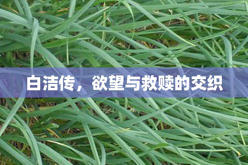 白洁传，欲望与救赎的交织