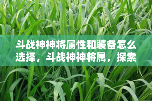 斗战神神将属性和装备怎么选择图片