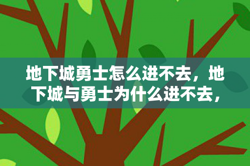 地下城与勇士为什么进不去图片