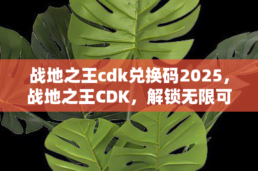 战地之王cdk兑换码2025图片