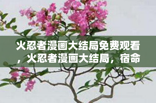 火忍者漫画大结局免费观看图片
