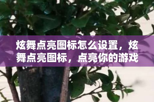 炫舞点亮图标怎么设置图片