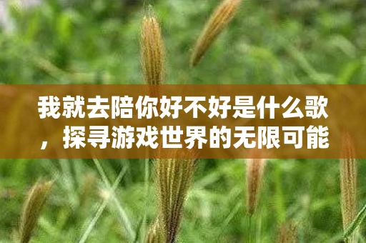我就去陪你好不好是什么歌，探寻游戏世界的无限可能，私服与官方服务器的独特魅力