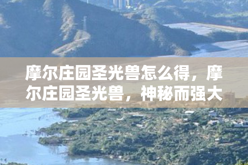 摩尔庄园圣光兽怎么得,摩尔庄园圣光兽,神秘而强大的存在 摩尔庄园圣光兽怎么得,摩尔庄园圣光兽,神秘而强大的存在