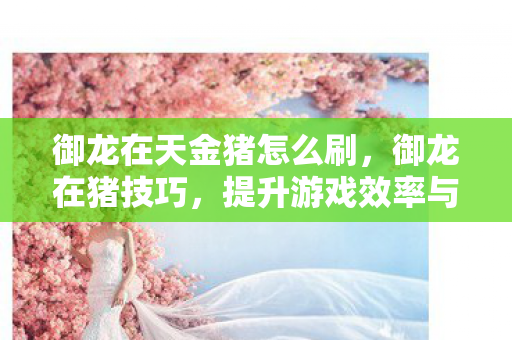 御龙在天金猪怎么刷,御龙在猪技巧,提升游戏效率与战斗力的实用策略 御龙在天金猪怎么刷,御龙在猪技巧,提升游戏效率与战斗力的实用策略