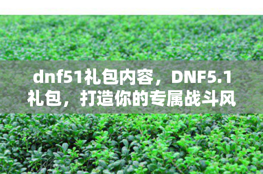 dnf51礼包内容,DNF5.1礼包,打造你的专属战斗风格 dnf51礼包内容,DNF5.1礼包,打造你的专属战斗风格