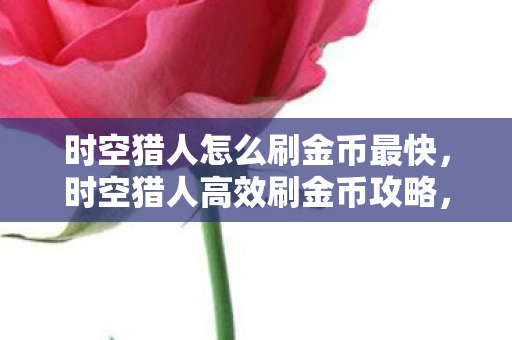 时空猎人怎么刷金币最快,时空猎人高效刷金币攻略,合法合规的财富积累指南 时空猎人怎么刷金币最快,时空猎人高效刷金币攻略,合法合规的财富积累指南
