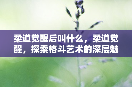 柔道觉醒后叫什么,柔道觉醒,探索格斗艺术的深层魅力 柔道觉醒后叫什么,柔道觉醒,探索格斗艺术的深层魅力