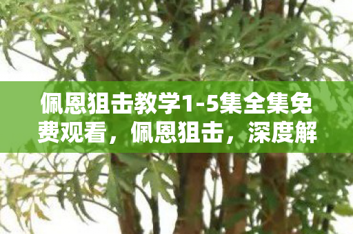 佩恩狙击教学1-5集全集免费观看,佩恩狙击,深度解析游戏内的高效战术与策略 佩恩狙击教学1-5集全集免费观看,佩恩狙击,深度解析游戏内的高效战术与策略
