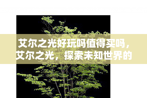 艾尔之光好玩吗值得买吗图片