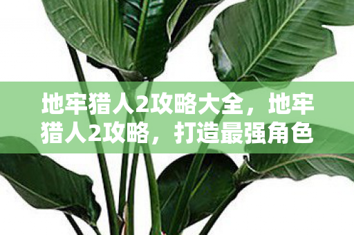 打造最强角色的全面指南图片