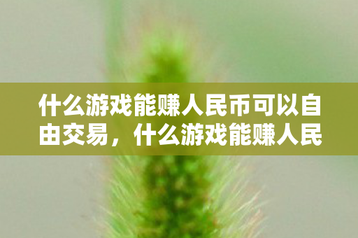 什么游戏能赚人民币可以自由交易，什么游戏能赚人民币，探索游戏盈利的奥秘