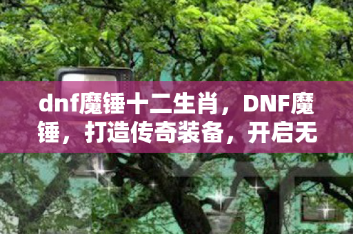 dnf魔锤十二生肖,DNF魔锤,打造传奇装备,开启无限可能 dnf魔锤十二生肖,DNF魔锤,打造传奇装备,开启无限可能