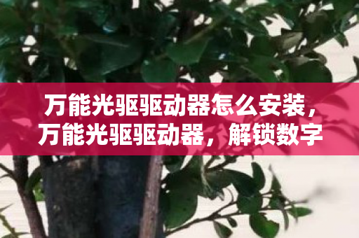 万能光驱驱动器怎么安装,万能光驱驱动器,解锁数字时代的存储新篇章 万能光驱驱动器怎么安装,万能光驱驱动器,解锁数字时代的存储新篇章