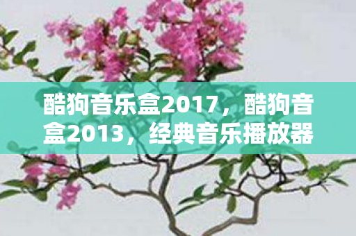 酷狗音乐盒2017,酷狗音盒2013,经典音乐播放器背后的故事 酷狗音乐盒2017,酷狗音盒2013,经典音乐播放器背后的故事