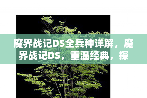 魔界战记DS全兵种详解，魔界战记DS，重温经典，探索未知